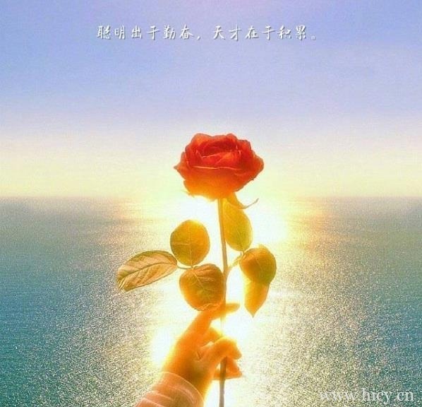 送给女生精辟的15个句子