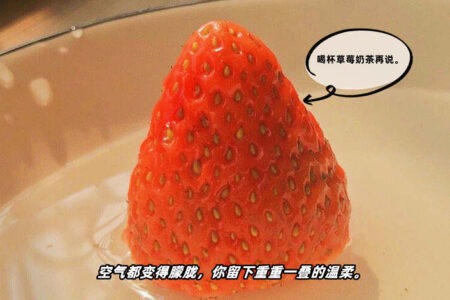 朋友圈可爱唯美简约的文案短句摘抄分享!插图1 朋友圈可爱唯美简约的文案短句摘抄分享!