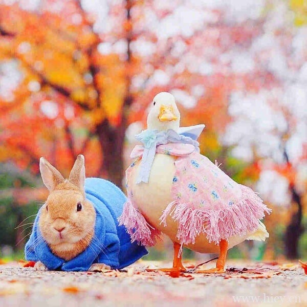 一眼就很喜欢的仙气文案句子来啦插图3 一眼就很喜欢的仙气文案句子来啦