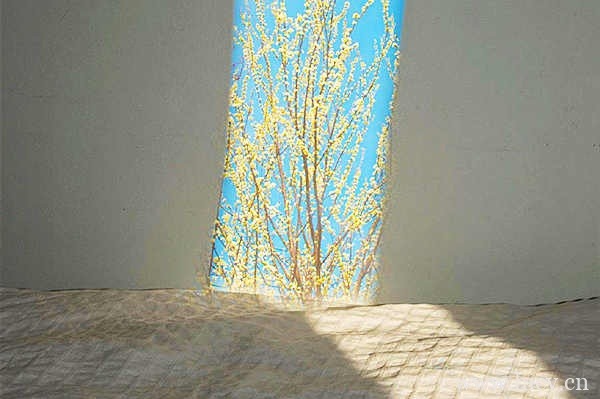 看电影的文案句子 一张票,一个人插图1 看电影的文案句子 一张票,一个人