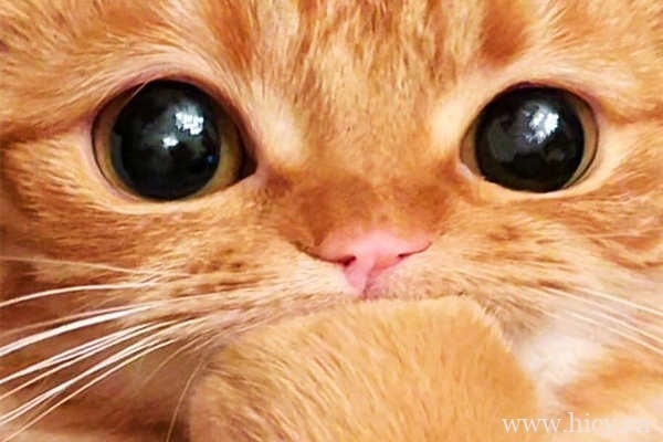 让人忍不住摘抄的惊艳句子文案插图1 让人忍不住摘抄的惊艳句子文案