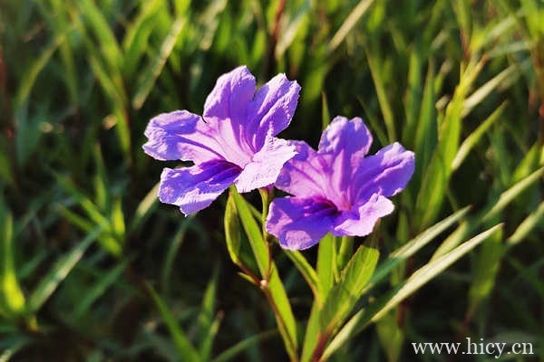 简短高级有深意微信个性签名,慢慢理解世界,慢慢更新自己。插图1 简短高级有深意微信个性签名,慢慢理解世界,慢慢更新自己。