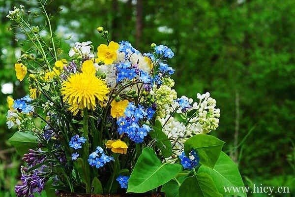 温柔干净治愈的文案句子,做颗星星,有棱角,会发光。插图1 温柔干净治愈的文案句子,做颗星星,有棱角,会发光。