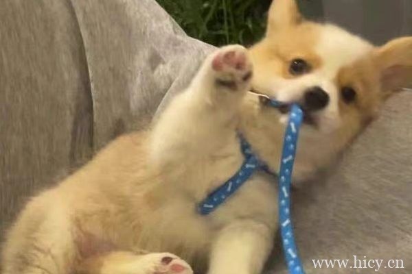 喜欢普通又堪称封神的文案短句子插图1 喜欢普通又堪称封神的文案短句子