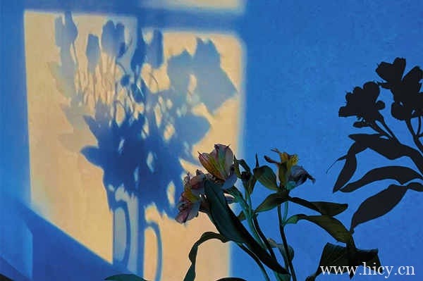 看一眼就释怀的高级说说句子,25句抖音释怀文案简短插图1 看一眼就释怀的高级说说句子,25句抖音释怀文案简短