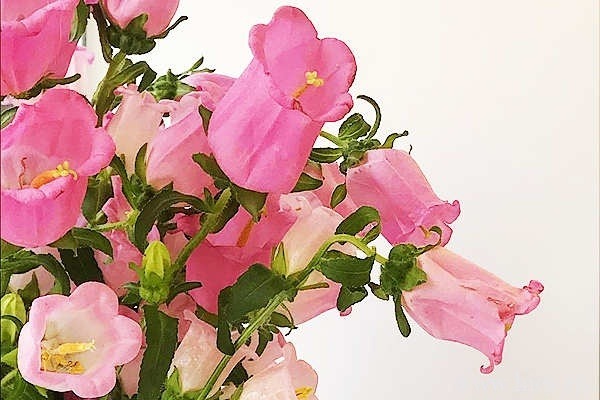 关于释怀的文案短句,小红书遗憾释怀的句子插图1 关于释怀的文案短句,小红书遗憾释怀的句子