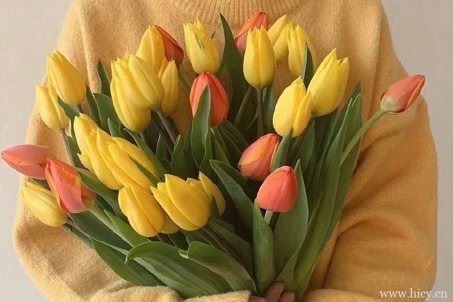 让人小鹿乱撞的甜甜恋爱文案句子插图1 让人小鹿乱撞的甜甜恋爱文案句子