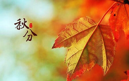 关于秋分节气的文案,秋天发快手的温柔句子摘抄插图1 关于秋分节气的文案,秋天发快手的温柔句子摘抄