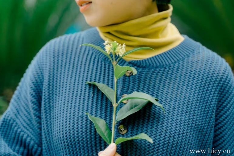 关于思念的高级文艺文案短句