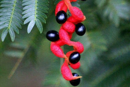 极其隐晦的半句情话文案短句插图1 极其隐晦的半句情话文案短句