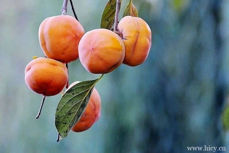 极其隐晦的半句情话文案短句插图2 极其隐晦的半句情话文案短句