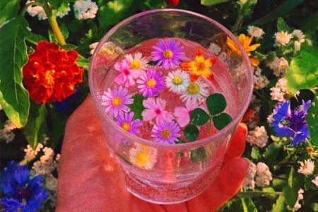 开学后文案,新学期励志文案短句摘抄插图1 开学后文案,新学期励志文案短句摘抄