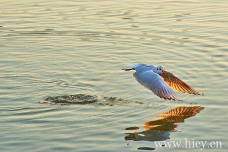 人间清醒大格局文案,人民日报大格局文案摘抄插图1 人间清醒大格局文案,人民日报大格局文案摘抄