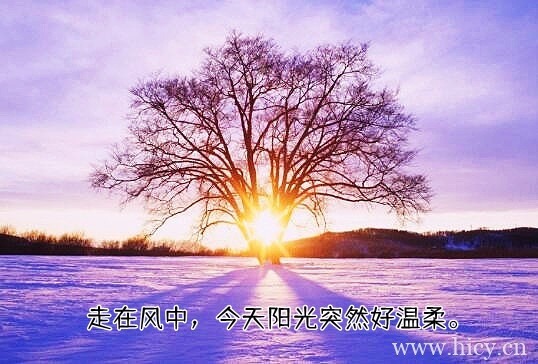 朋友圈文案关于冬天天气很好 阳光明媚的句子插图1 朋友圈文案关于冬天天气很好 阳光明媚的句子
