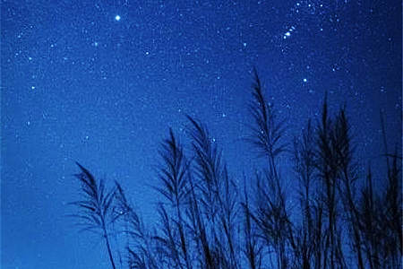 杂七杂八的个签文案句子,为爱乞讨,不是本公主的作风插图1 杂七杂八的个签文案句子,为爱乞讨,不是本公主的作风