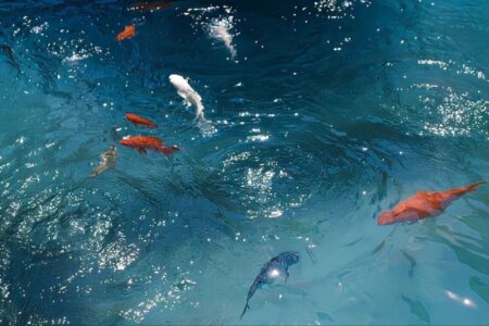 30句写给自己的文案短句子，不乱于心不困于情.