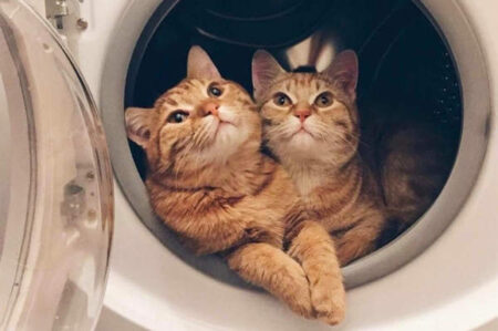 喜欢到爆的高级情绪文案摘抄插图1 喜欢到爆的高级情绪文案摘抄