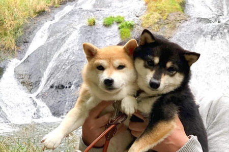 爱意满满的安全感文案句子摘抄插图1 爱意满满的安全感文案句子摘抄