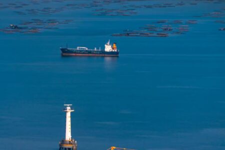 平平无奇却又句句惊喜的优质文案句子摘抄