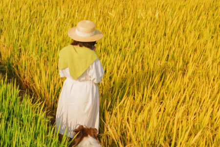 惊艳了整个秋天的大丰收文案短句