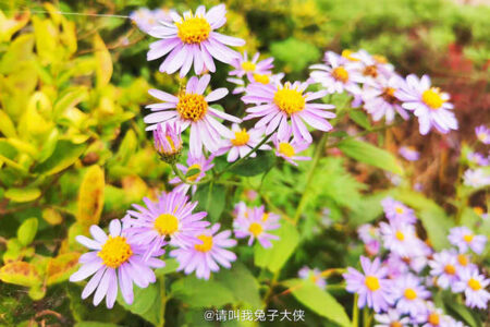 文艺而不烂俗的高级救赎文案短句