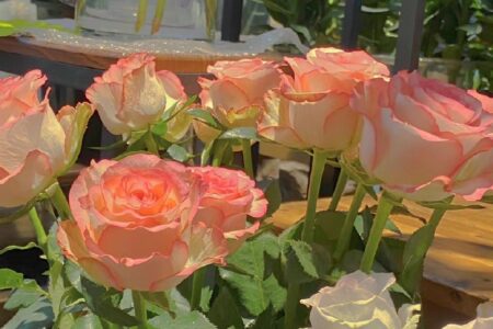 女生舍不得换掉的个签文案句子