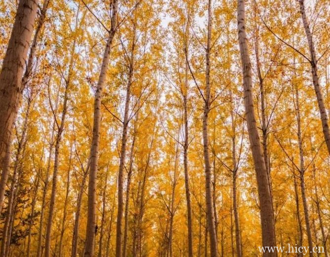 十月文案,爱上十月,爱上文案插图1 十月文案,爱上十月,爱上文案