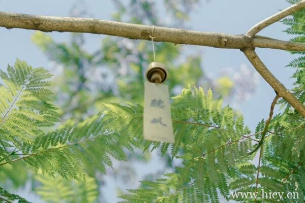 emo伤感文案“雨停了再去送伞就没什么意义了”