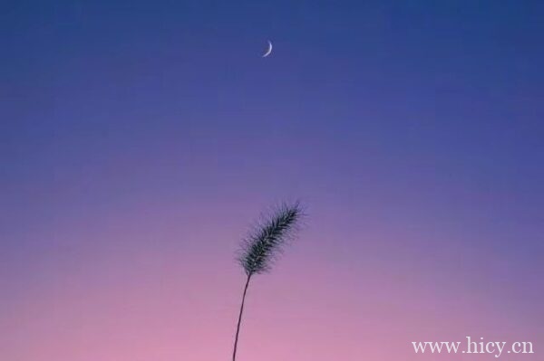 封神文案|理智占据不了上风,心动永远更胜一筹。插图1 封神文案|理智占据不了上风,心动永远更胜一筹。