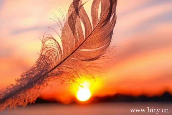 高级感悟文案 许你看不懂的深意句子插图1 高级感悟文案 许你看不懂的深意句子