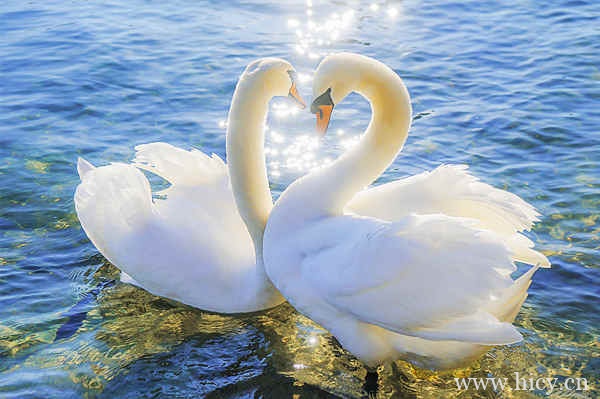 期待友谊长存的唯美文案 祝愿友谊天长地久的神仙句子