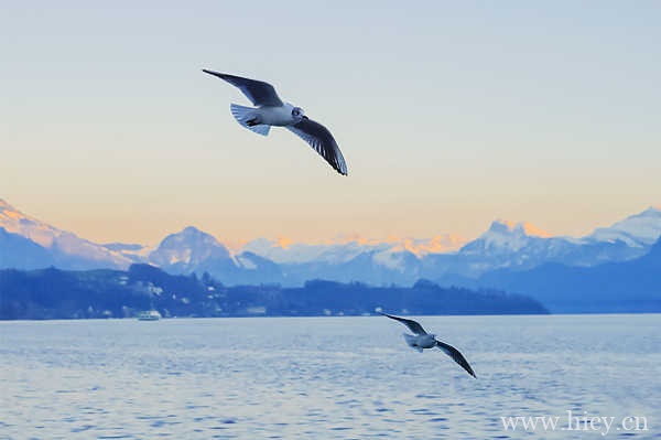 期待友谊长存的唯美文案 祝愿友谊天长地久的神仙句子