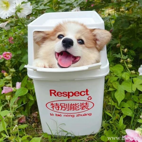 适合单身狗发的七夕文案 走心的句子插图1 适合单身狗发的七夕文案 走心的句子