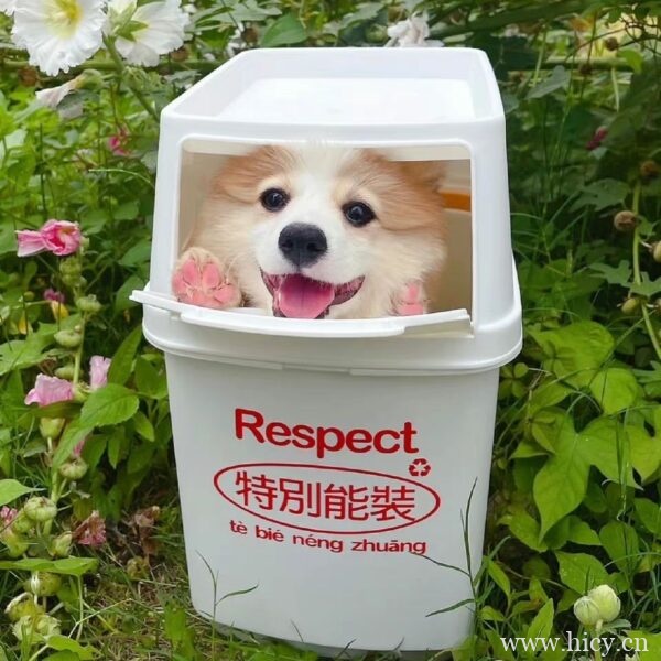 适合单身狗发的七夕文案 走心的句子插图2 适合单身狗发的七夕文案 走心的句子