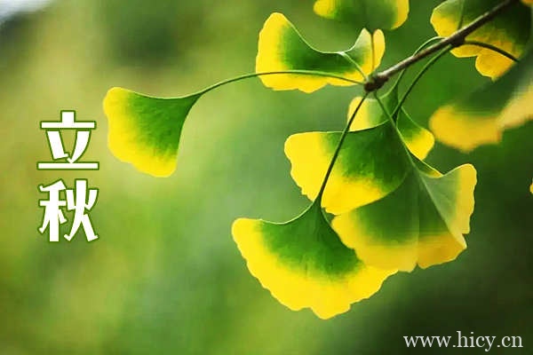 立秋节气文案句子 落叶敲响了大地,也叫醒了秋天。插图1 立秋节气文案句子 落叶敲响了大地,也叫醒了秋天。