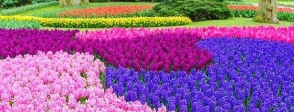 早上好祝福语优美句子 早安心语插图1 早上好祝福语优美句子 早安心语