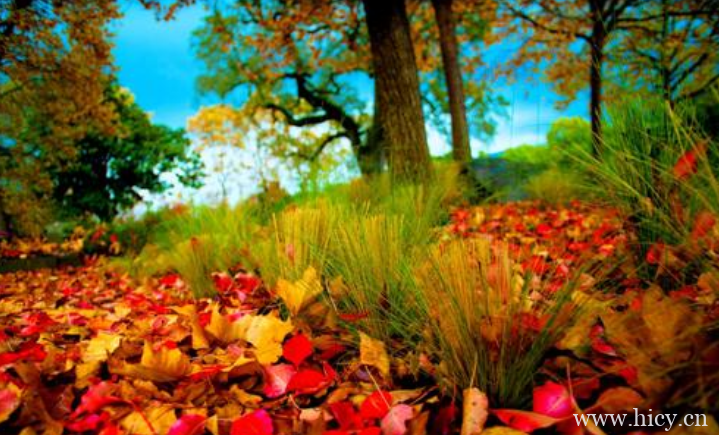 2021秋天的文案 降温了朋友圈说说