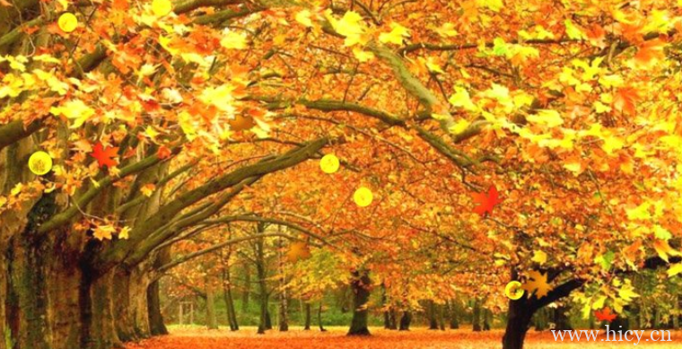 2021秋天的文案 降温了朋友圈说说