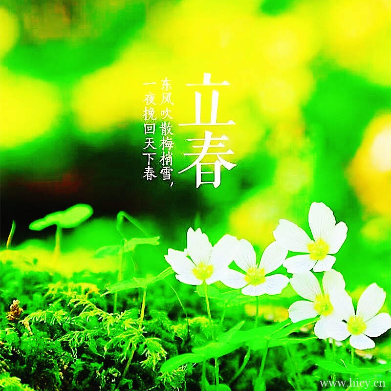 立春节气文案 立春时节唯美句子插图1 立春节气文案 立春时节唯美句子