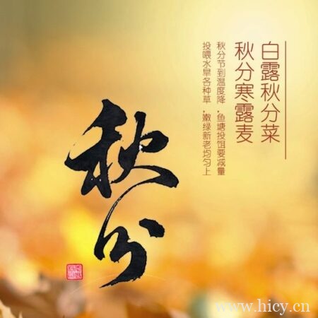 秋分节气当天发的文案句子摘抄