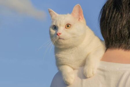 温柔浪漫的高级爱意文案短句,送给你的宝宝吧。插图1 温柔浪漫的高级爱意文案短句,送给你的宝宝吧。