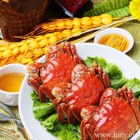 去闺蜜家蹭饭的搞笑沙雕文案短句摘抄插图1 去闺蜜家蹭饭的搞笑沙雕文案短句摘抄