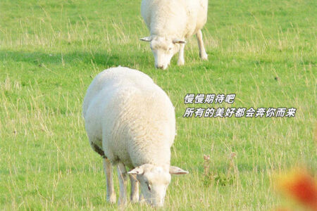 抖音日常唯美文案短句摘抄,如果今天很糟的话插图1 抖音日常唯美文案短句摘抄,如果今天很糟的话