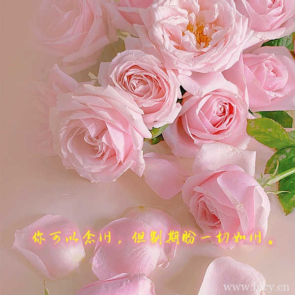 高级感十足的朋友圈文案句子(通用)插图1 高级感十足的朋友圈文案句子(通用)