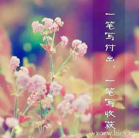 致自己的文案|我野蛮生长 自己便是公主