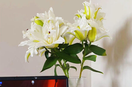 微信高级状态文案短句，可以用到过年不换插图1