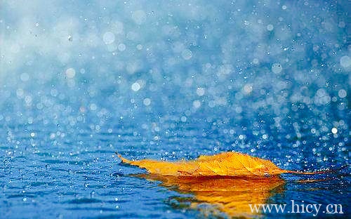 朋友圈文案 | 2022寒假下雨的心情句子文案插图2 朋友圈文案 | 2022寒假下雨的心情句子文案